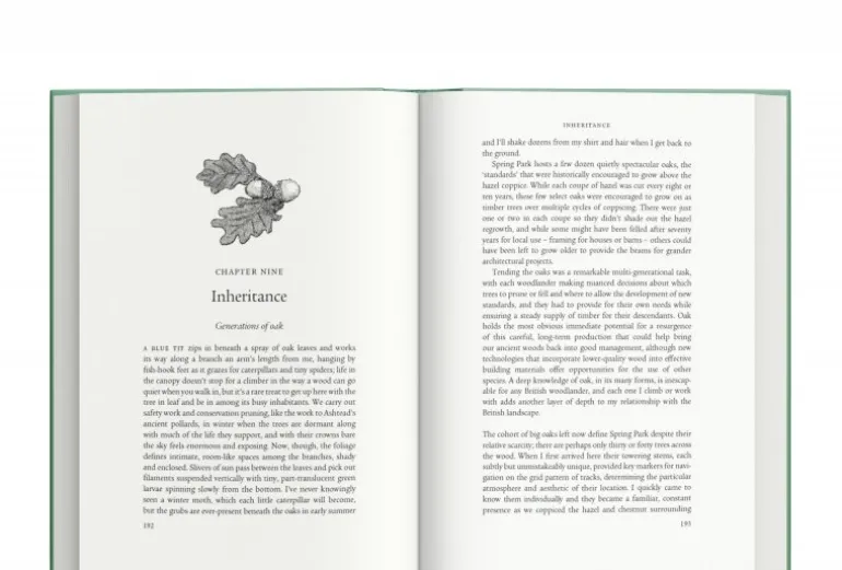 Ancient - Reviving the Woods That Made Britain by Luke Barley