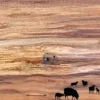 Earth, Sea, Sky - Greetings Card