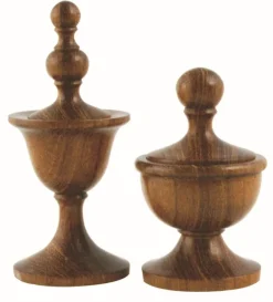 Knob Thorn